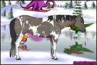 Horse Color:White Spotted Grullo Tobiano