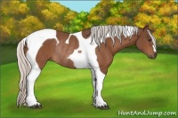 Horse Color:Silver Bay Tobiano Rabicano 