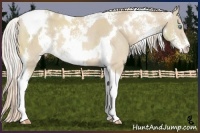 Horse Color:White Spotted Cremello and Cremello Sabino Tobiano