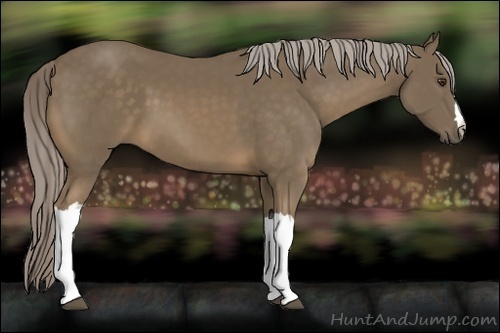 Horse Color:Unknown 