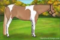 Horse Color:Chestnut Tobiano Frame