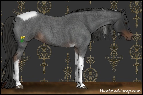 Horse Color:Liver Red Roan Tobiano