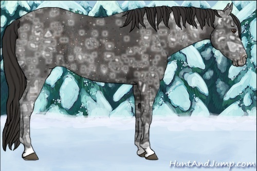 Horse Color:Liver Red Ice Roan Rabicano