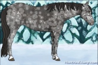 Horse Color:Liver Red Ice Roan Rabicano