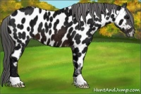 Horse Color:Brown Ice Near Leopard 