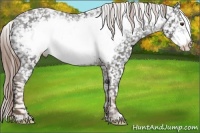 Horse Color:Liver Chestnut Frame Snowflake Varnish 