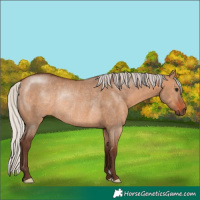 Horse Color:Silver Brown Dun Rabicano 