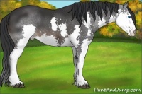 Horse Color:Brown Splash