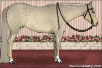 Horse Color:Chocolate Palomino Roan Sabino Rabicano