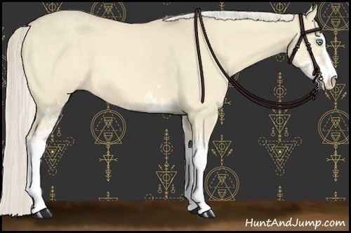 Horse Color:Cremello Dun Sabino