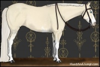 Horse Color:Cremello Dun Sabino