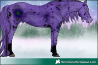 Horse Color:ERROR: UNKNOWN ANOMALY