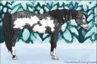 Horse Color:Black Ice Frame