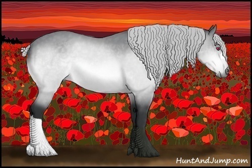 Horse Color:Silver Bay Chinchilla