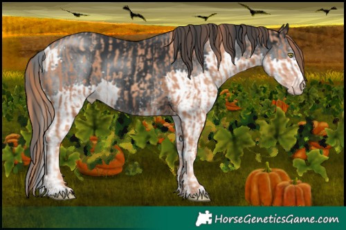 Horse Color:Gold Champagne  and White Spotted Black Chinchilla Splash 