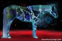 Horse Color:ERROR: UNKNOWN ANOMALY and ERROR: UNKNOWN ANOMALY