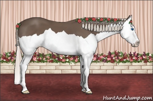 Horse Color:Silver Black Splash