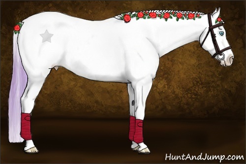 Horse Color:Watercolor Buckskin Pearl Appaloosa 