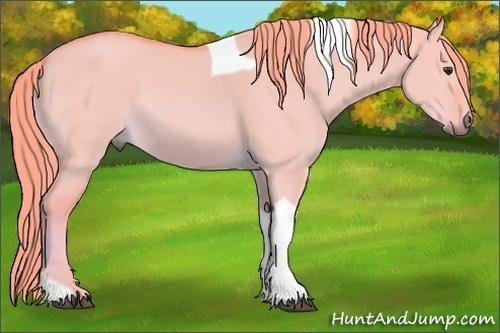 Horse Color:Watercolor Red Dun Tobiano Rabicano 