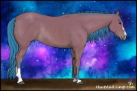 Horse Color:Watercolor Bay Sabino Rabicano 