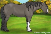 Horse Color:Smoky Grullo 