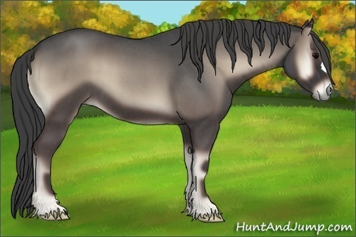 Horse Color:Smoky Blue Onyx Roan 