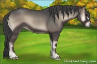Horse Color:Smoky Blue Onyx Roan