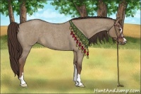 Horse Color:Liver Red Dun Roan Sabino