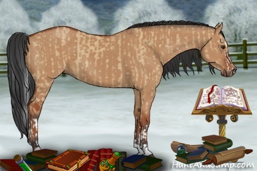 Horse Color:Bay Dun Splash  and Bay Dun 