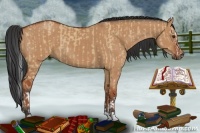 Horse Color:Bay Dun Splash and Bay Dun