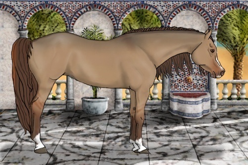 Horse Color:Liver Red Dun Sabino