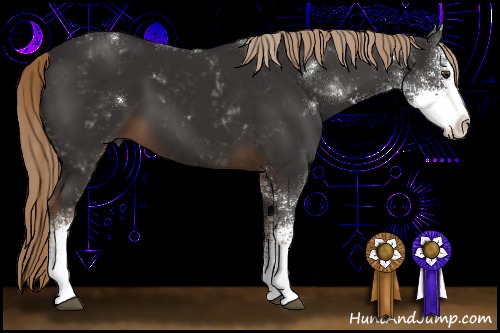 Horse Color:Liver Chestnut Sabino 