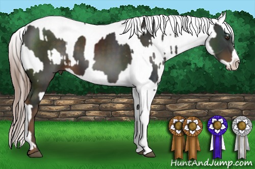 Horse Color:Liver Chestnut Sabino  and Liver Chestnut Sabino 