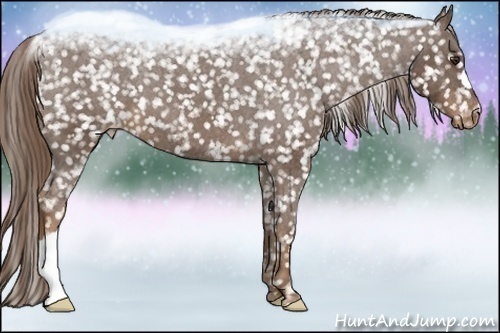 Horse Color:Liver Red Roan Snowflake Varnish