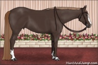 Horse Color:Liver Chestnut Sabino