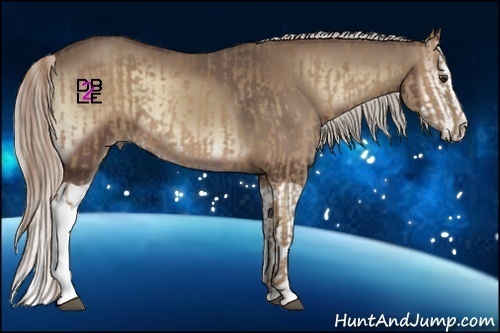 Horse Color:Chocolate Palomino  and Silver Blue Onyx Splash 
