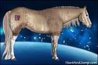 Horse Color:Chocolate Palomino  and Silver Blue Onyx Splash 