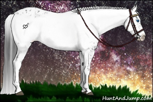 Horse Color:Black Frame