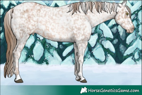 Horse Color:White Spotted Liver Chestnut Ice Pearl Snowflake Varnish