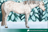 Horse Color:White Spotted Liver Chestnut Ice Pearl Snowflake Varnish 