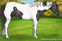 Horse Color:Liver Chestnut Ice Tobiano 