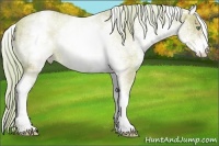 Horse Color:Watercolor White Spotted Gold Cream Champagne 
