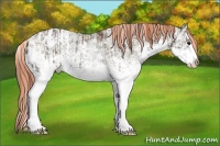 Horse Color:Painted White Spotted Chocolate Brown Ice Roan Onyx Splash  and Painted White Spotted Chocolate Smoky Blue Onyx Ice Roan Pearl Splash Varnish Rabicano 