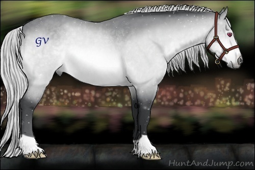 Horse Color:Silver Bay Chinchilla Rabicano 