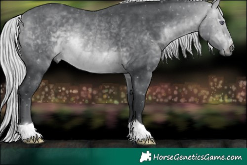 Horse Color:Silver Brown Chinchilla Rabicano