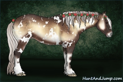 Horse Color:White Spotted Silver Bay Onyx