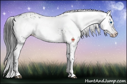 Horse Color:Black Frame 