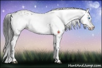 Horse Color:Black Frame