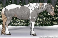 Horse Color:Liver Chestnut Tobiano Varnish 