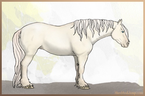 Horse Color:Gold Cream Champagne Pearl Dun